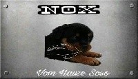 NOX
